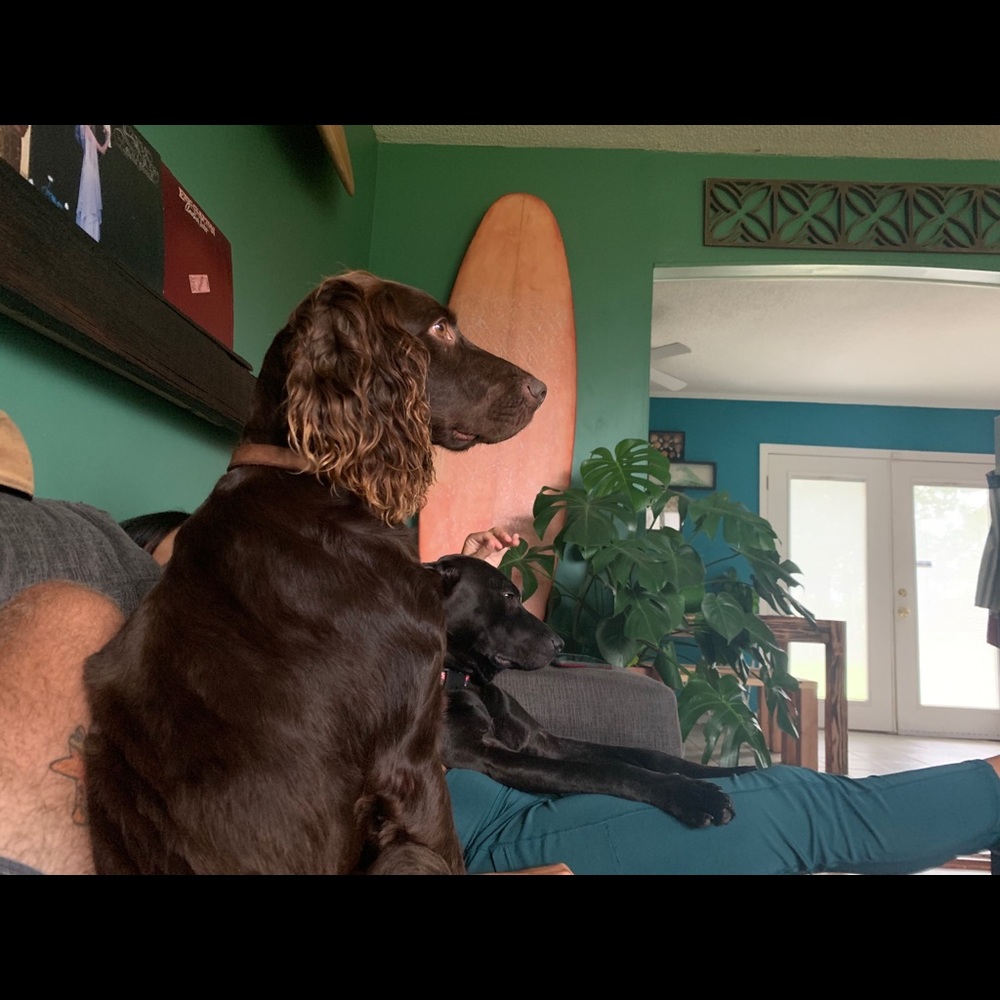 Meet your Posher, Kyle